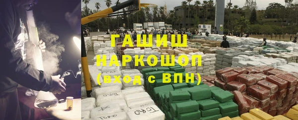 прущие грибы Нея