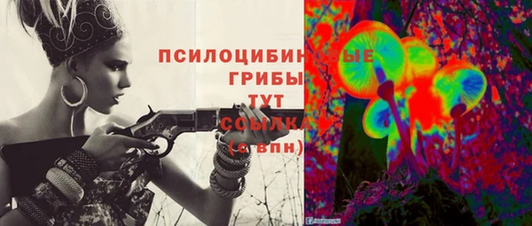 альфа пвп Надым