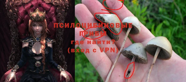гашик Бабаево