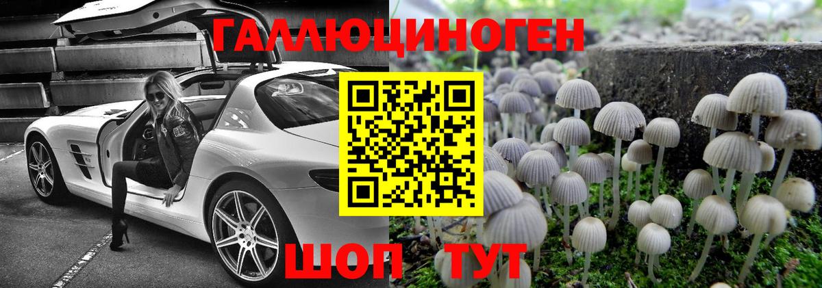 Галлюциногенные грибы прущие грибы  Вход с VPN  купить  сайты  Североуральск 